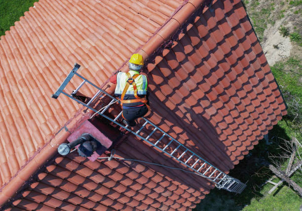 Best Roof Ventilation Installation  in Arrowhead Beach, NC
